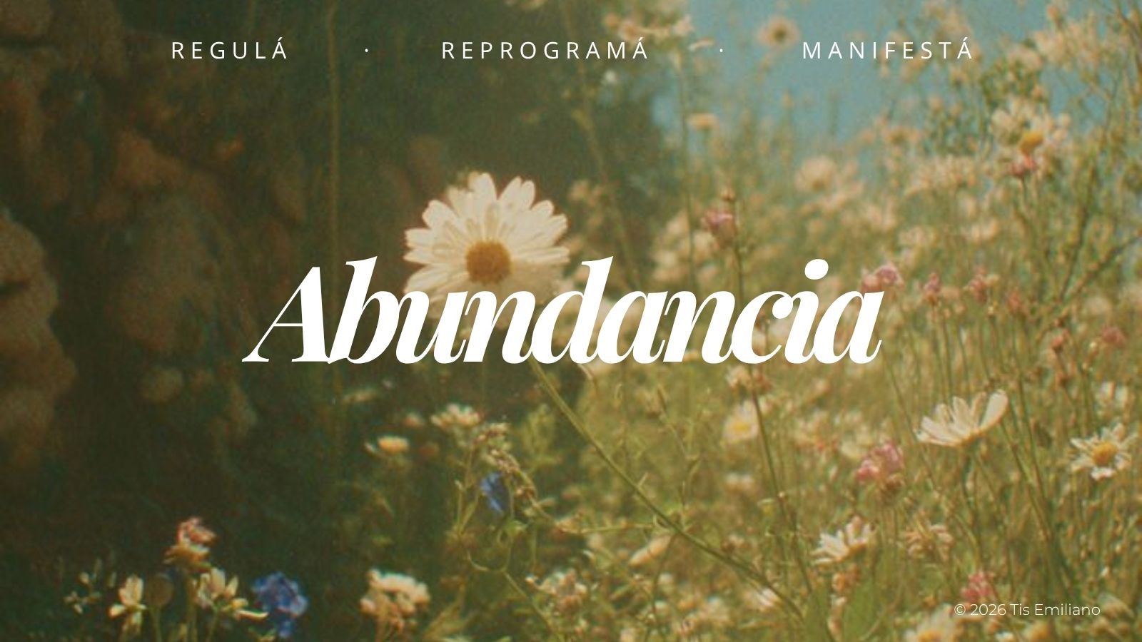 Rutina Flex | Abundancia